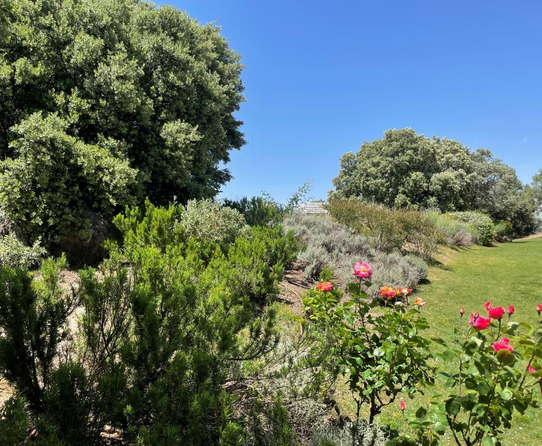 Villa El Encinar De Gabino Zarzuela del Monte Esterno foto